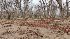 HornyMaria96: Compilație de pișat afară