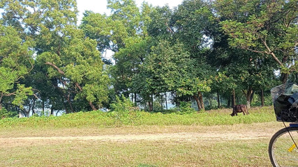 LinearOrnament35: Land Ko Lamba Karo Egzersiz Karke