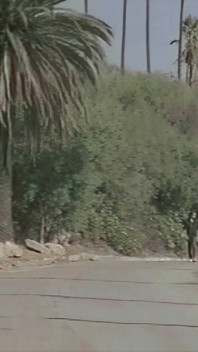 Ta vintage dziwka bierze ładnego czarnego kutasa pod Los Angeles Sky