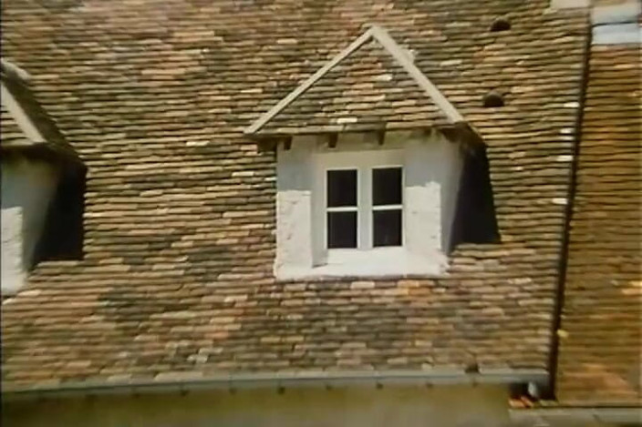 Euro Blue Movies: Forbidden Pleasures (1986)