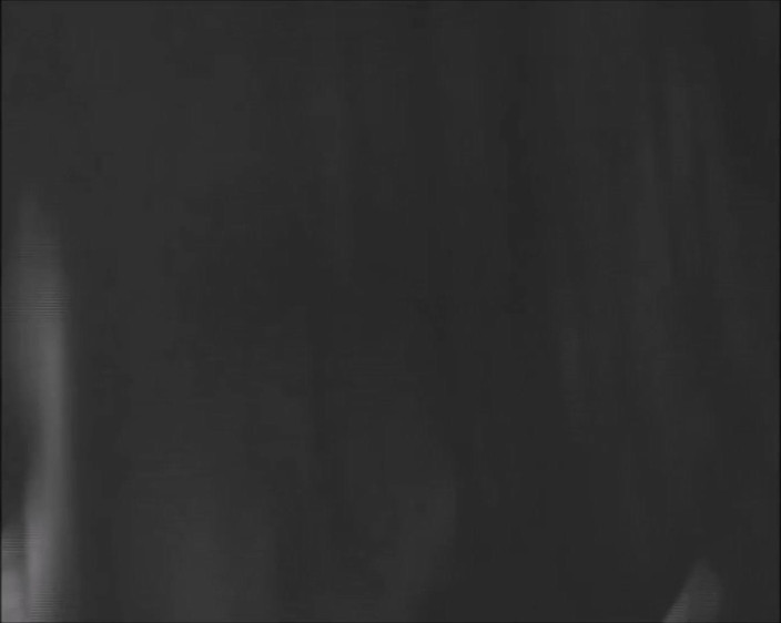 Slave School: Slave girl Natascha sucking