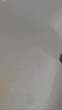 A Very Powerful Stream From a Large Penis