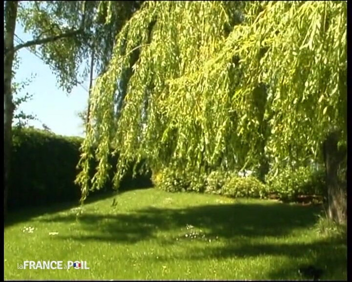 French Family Secrets: クソ地獄、彼女は良いです!