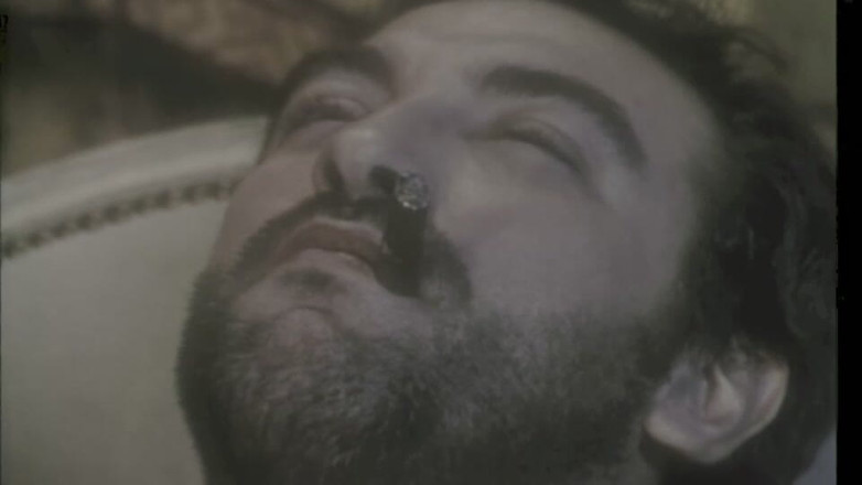 Inhonorof porn: Cicciolina E Outras Vadias Se Metem Com Rocco Siffredi E...