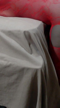 Aku abang tiriku dengan lingerie baru (bagian 1)
