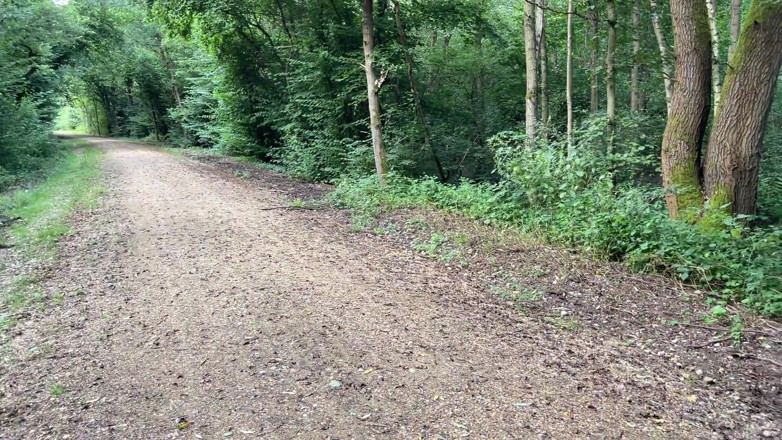 SweetSusi: Spermawalk Im Wald