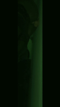 Night Vision: Balls Deep Anal Fuck with Bwc Dildo
