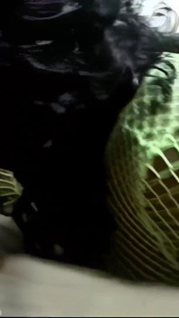 Black Slut's Cock Sucking Mouth