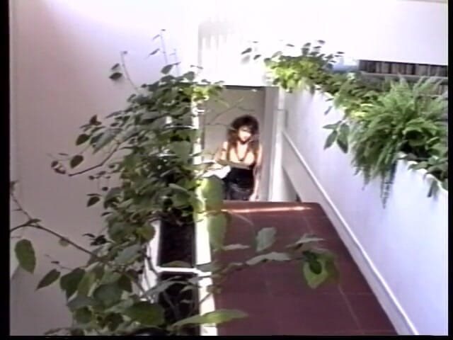 American Idol X: Pussy licking big cock sucking with Rocco Siffredi