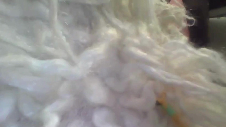 Maeling: Tiny Lesbians Scissoring Stuffed in Oily Anal - Giantess Ass 