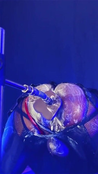 Cremoso cosplay cavando bunda