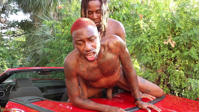 CocoDorm: Hotrod + jody jacinto - araba yıkama