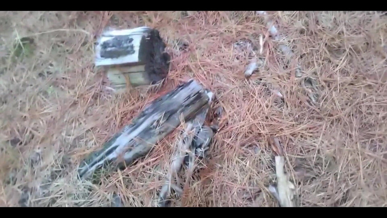 BBW Kelly Mom: Cazzo Una Bella Donnona Con Un Enorme Culo Nei Boschi....