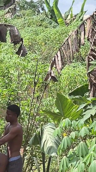 Jadi Cepat jadi tiada siapa yang akan menangkap kami (di sebalik tabir)