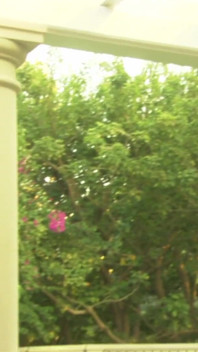 Autumn Bliss and Monica Mayhem are blonde and brunette lesbians eat each other out