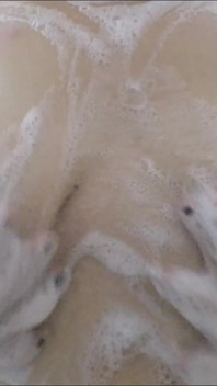 Slippery When Wet Sudstravaganza