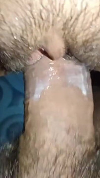 Creampie Pussy Hardcore Desi Girl Closeup View