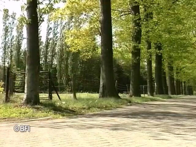 Naughty by nature in Holland: Xkiss - Cafe Tramhalt, part  1