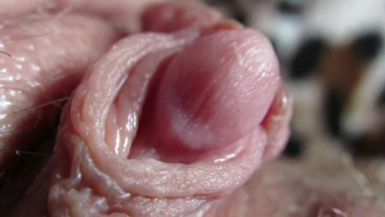 Cuteblonde666: Grote clitoris compilatie 2