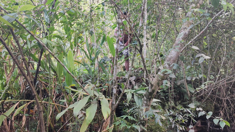 Anotonella-jones: 강에서 모르는 놈과 섹스하는 안토넬라