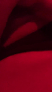 Fat Pussy