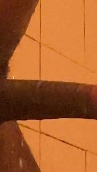Sesso etiope