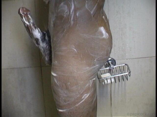 Papi Cock: Cockasauris 2