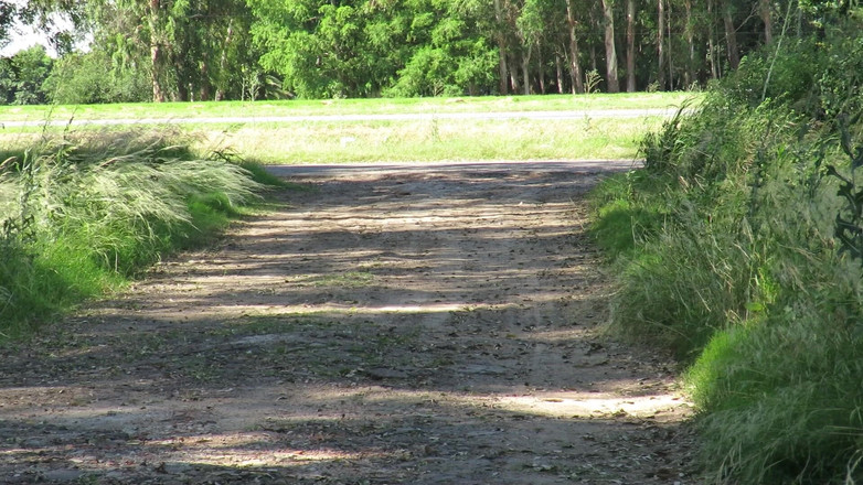 Milfcamsex: Patricia Walks