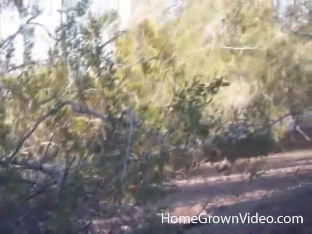 Homegrown Outdoor Sex: Daisy сосет член Duke под эстакадой