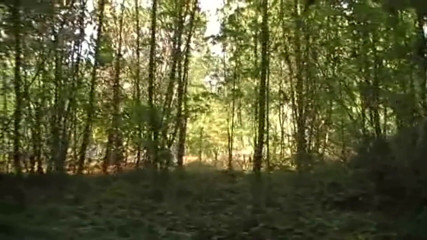 ARAB FUCKERS WITH HUGE COCKS: Curvă franceză futută de un arab xxl în croazieră în pădure