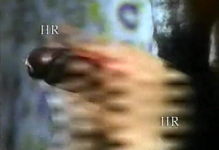 Italian swingers LTG: 来自意大利色情杂志的 VHS 邮寄 #8 - 不满意的意大利女人！