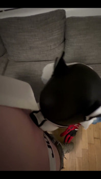 Blowjob