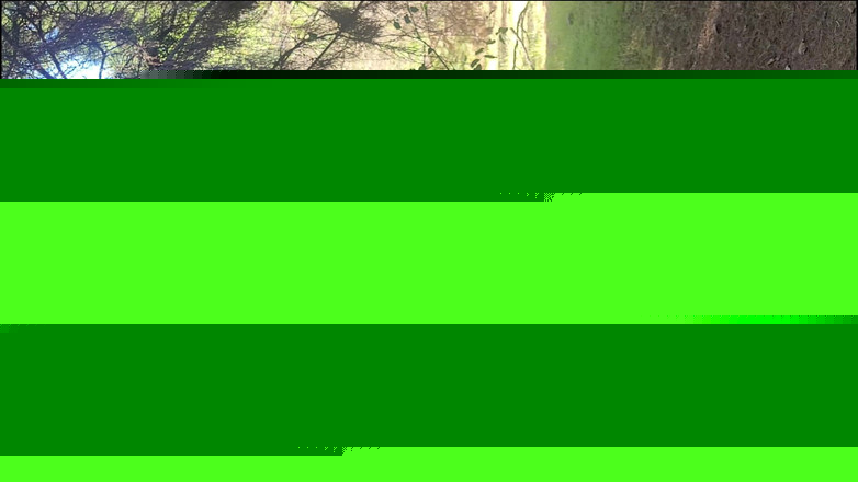 Riderqueen BBW Step Mom Latina Ebony: Riderqueen Alone, Venku, Fan videa