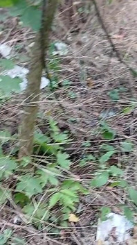 Ženská riskantní masturbace POV ve veřejné plase