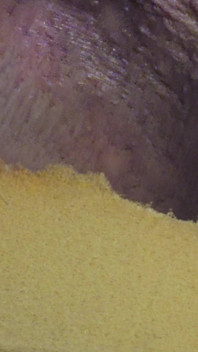 Pushing Out a Creampie