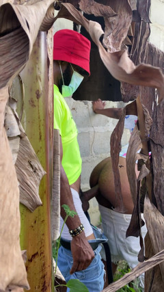 Arola7: Esconder y buscar follada de arbusto