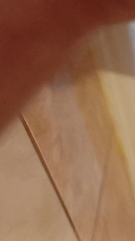Fuckin Dildo