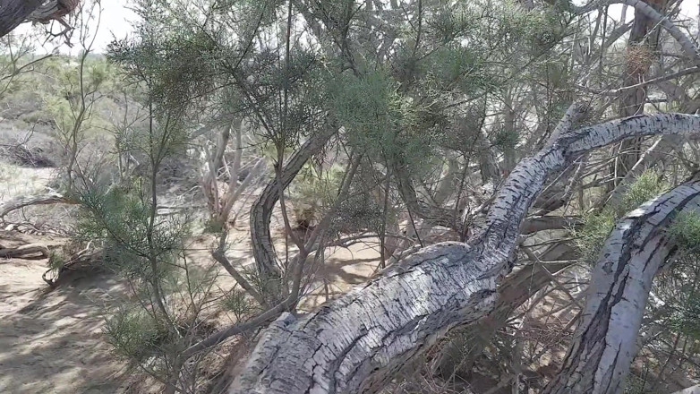 Double-Dutchies: Gran Canaria - Zábava na pláži a dunách - chycena mnohokrát