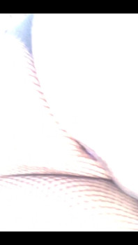 I love nets