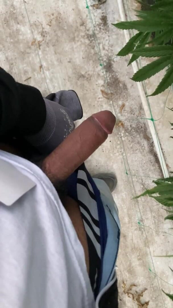 She Spreads Her Legs and Shows Her Tight Vagina for My Cock (Xooshua) She Spreads Her Legs and Shows Her Tight Vagina for My Cock (Xooshua)