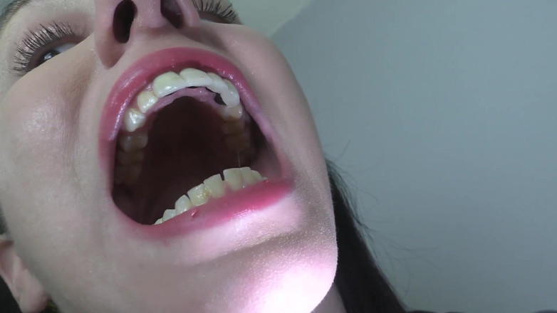 Quinn brooks: Mouth Tour Update