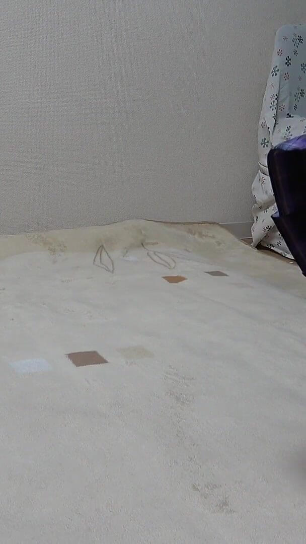 Gals apartment: Short Tank Top Spills Out Big Tits, Thighs and Legs...