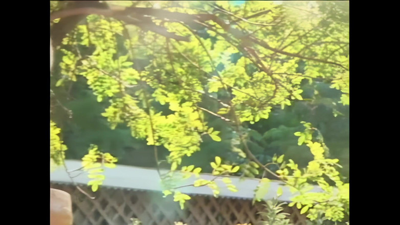 Bewitched!: Allysin Chaynes: Smyslná, bujná, šukaná zezadu