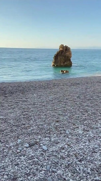 Öğretmen tek dileğiyle pokerde kayboldu