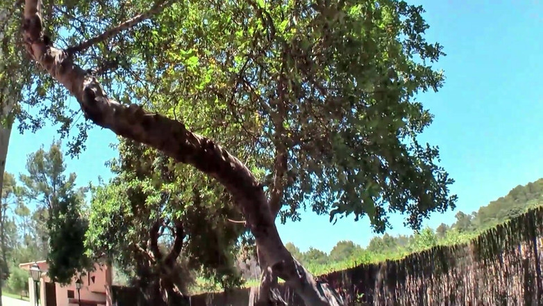 German Porn: Deutsche Sex Stars DP Gangbang Selvaggia Scopata Fest