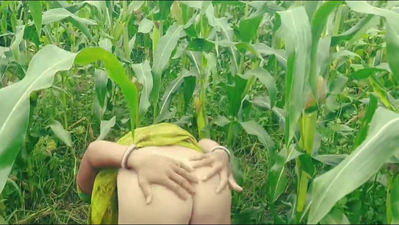 MD RAKIB MIA: Une fille desi se fait baiser dans un village bangladais...