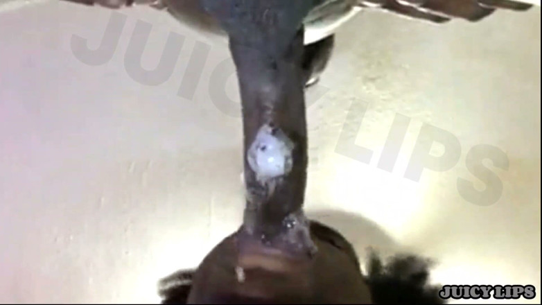 Bigmaj414: Suculento lábios-boca tem tão desleixado slurping seu pau ele busto...