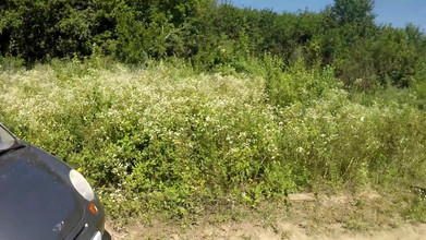 Polly Sweet: Scopata all'aperto con un ragazzo vicino alla macchina (mangia il suo...