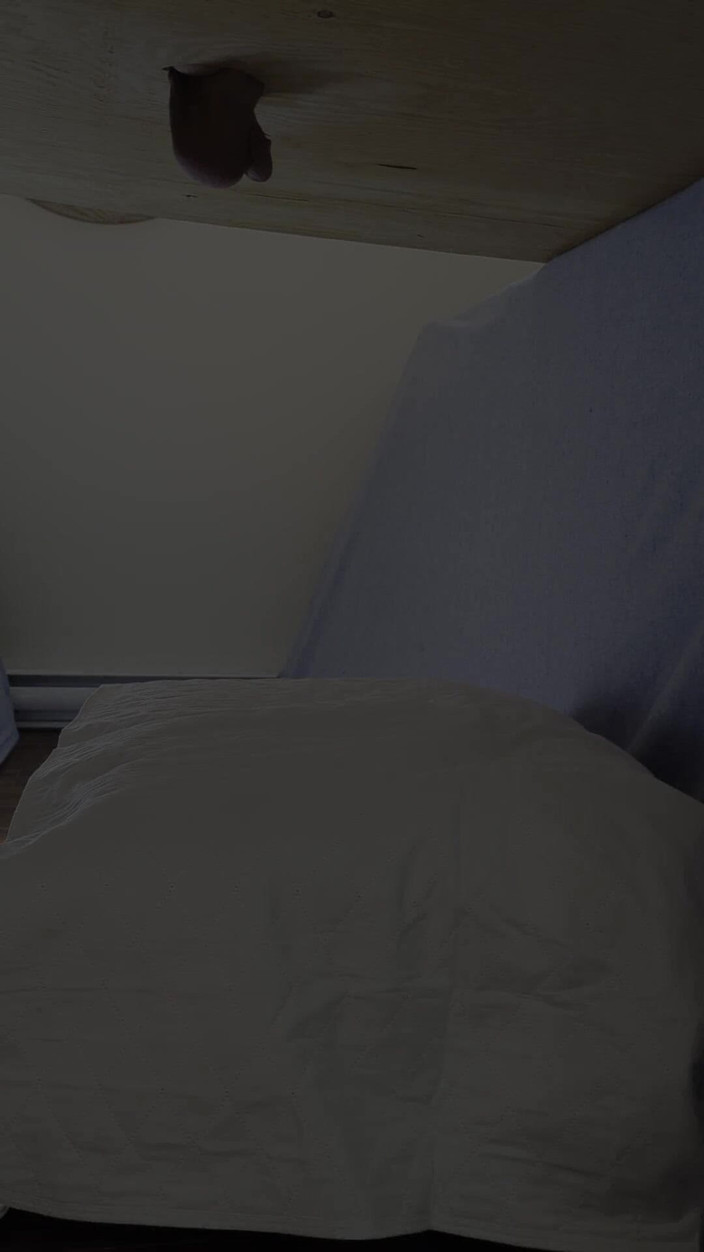 Morgan Shipley: Morgan savurează o masă de muls.