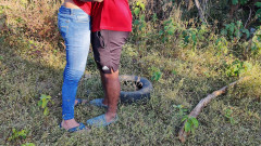 Hope Love: Murid pantat bahenol ini dientot gaya doggy sambil berdiri di...
